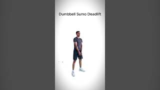 Dumbbell Sumo Deadlift [upl. by Hadsall]