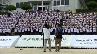 錦江湾高校名物トレロカモミロ2013体育祭（ミラクルトレロ） [upl. by Ahsha531]