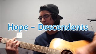 Descendents  Hope Acoustic cover [upl. by Gal]