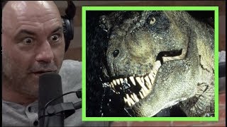 Joe Rogan  The Mysteries of the TREX [upl. by Aivilo949]