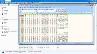 DLIS EasyampQUICK using quothexeditquot software [upl. by Monroy547]