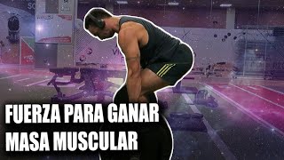 ¿ENTRENAR FUERZA PARA HIPERTROFIA  CÓMO Y CUANDO [upl. by Strepphon398]