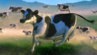 FUNNY COW DANCE 5 │ Cow Song amp Cow Videos 2024 [upl. by Enilav]