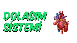 DOLAŞIM SİSTEMİ  6Sınıf [upl. by Akinad]