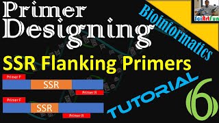 Primer Designing  SSR Flanking Primers Using BatchPrimer3  Tutorial 6  When the Tool Works [upl. by Noni]