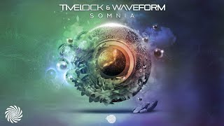 Timelock amp Waveform  Somnia [upl. by Emelia]