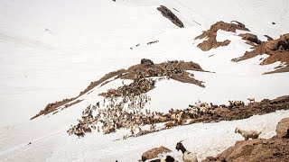 DIA 6 Y DIA 7 ARREANDO POR LAS CORDILLERAS DE LOS ANDES CRUZANDO POR LA NIEVE PARA LLEGAR AL CAMPO V [upl. by Oiludbo]