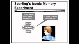 Sensory Memory  VCE Unit 3 Psychology [upl. by Kirchner739]