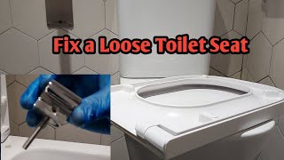 How To Stop Toilet Seats From Slamming Quiet Close Toilet Seat Hinges Install [upl. by Wind]