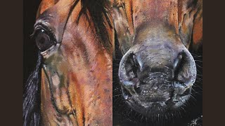 How to Paint a Realistic Horse  Portrait Painting  Timelapse Acrylic Painting [upl. by Ahsiatal450]