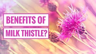 4 Potential Benefits of Milk Thistle [upl. by Mirth400]