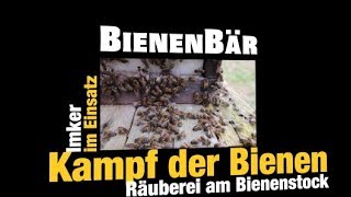 Kampf der Bienen  Räuberei am Bienenstock [upl. by Yadsendew809]