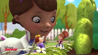 quotWhats Going Onquot Song  Doc McStuffins  Disney Junior UK [upl. by Cavan]