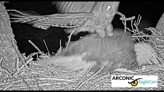 Owl strike at Arconic Eagle Cam Riverdale Iowa 2023 04 10 23 18 59 930 [upl. by Glori]