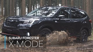 FORESTER：XMODE [upl. by Burnsed672]