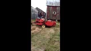 Hesston 320 haybine swather mowing [upl. by Iredale]