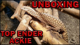 Topender Ackie Monitor Unboxing [upl. by Elton707]