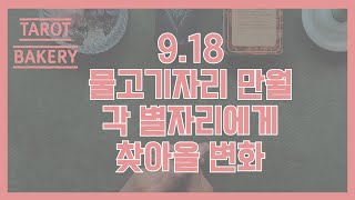 별자리별 물고기자리 만월에 찾아올 변화 ㅣ 타로 운세ㅣTAROT BAKERYㅣHOROSCOPEㅣ타로ㅣ별자리운세ㅣ타로유튜브 [upl. by Reiners]