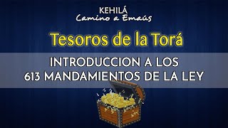 INTRODUCCIÓN TESOROS DE LA TORA  KEHILÁ [upl. by Emirak]