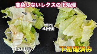 レタスの下処理！レタスが茶色にならない保存方法 [upl. by Bandeen]