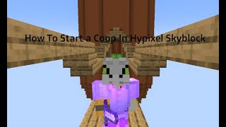 How To Start a Coop In Hypixel Skyblock [upl. by Adnoraj]