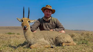 Hunting the Elusive Grey Rhebuck WalkandStalk in South Africa Rhebuck Snitzels [upl. by Arias]