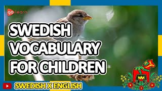 Learn Swedish Part 1 Swedish Vocabulary For Children  Golearn [upl. by Deach]