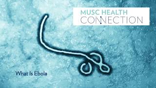 What Is Ebola  MUSC Health Connection [upl. by Ajat]