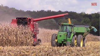 1980s COMBINES Harvesting Corn amp Soybeans [upl. by Stutzman]