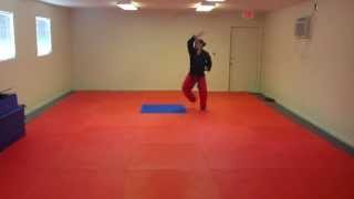 HwaRang Tae Kwon Do Form  Front View Slow [upl. by Airamas]