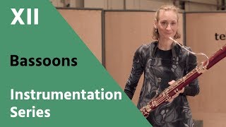 Bassoon and Contrabassoon  David Newman Instrumentation Series [upl. by Nosae736]