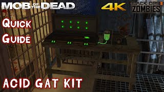 MOB OF THE DEAD Guides How to Build the Acid Gat Kit 4K [upl. by Rfinnej]