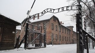 AUSCHWITZ  BIRKENAU quotla follia umanaquot POLONIA nazi camp in Oświęcim  HD [upl. by Kcirrek]