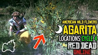 RED DEAD ONLINE AGARITA Cycle 4 Locations Appears 10pm  5am American Wild Flowers Collection [upl. by Yorled382]