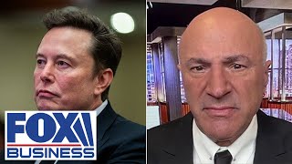 This is the power Elon Musk has O’Leary loves ‘very contentious’ plan to cut spending [upl. by Elisee]