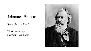 Brahms Symphony No 3 Third movement Harmonic Analysis [upl. by Hsoj771]