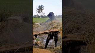 Rice straw farmingNinja Jerami farming mesinpertanian rurallife [upl. by Saibot]