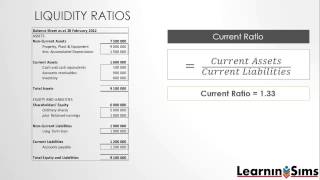 Liquidity Ratios [upl. by Jannelle590]