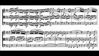 Beethoven  The Complete String Trios [upl. by Mukerji]