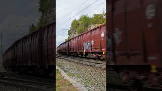 Zvukovi teretnog vlaka  Empty freight train sound vlaktrain trains railway [upl. by Akenihs889]