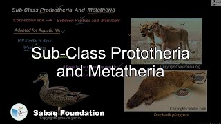 SubClass Prototheria and Metatheria Biology Lecture  Sabaqpk [upl. by Redvers]