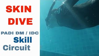 PADI Skill Circuit  Skin Dive Skill PADI IDC amp Divemaster Skills Circuit [upl. by Anaes643]