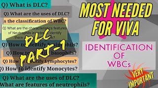 Viva Questions on DLC Part I  Identification of WBC  Physiology amp Pathology  Practical Exams [upl. by Prendergast]