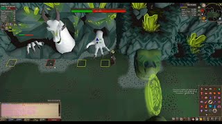 OSRS Solo olm guide  Full solo olm kill [upl. by Suiddaht]