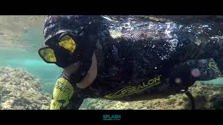 Epsealon Tactical Stealth Wetsuit  Perfect for Diving amp Spearfishing  Splash New Zealand [upl. by Virgilia]