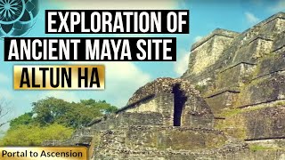 Exploration of Ancient Maya Site Altun Ha [upl. by Noli]