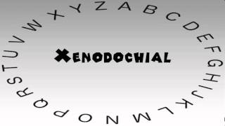 How to Say or Pronounce Xenodochial [upl. by Yeleak]