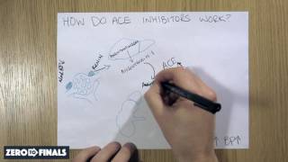 How do ACE inhibitors work [upl. by Yragerg]