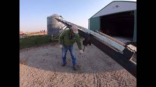 Grain Bin Auger Setup [upl. by Ahsihat]