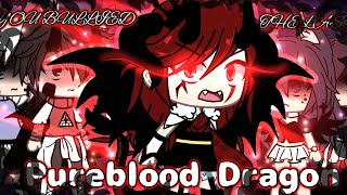 quotYou bullied the Last pureblood dragonquot《GLMM》 [upl. by Nnairet]